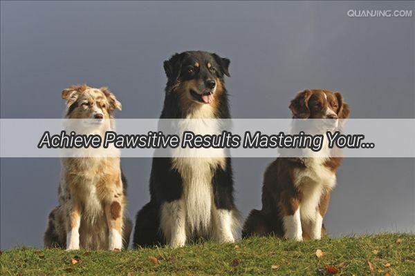 Achieve Pawsitive Results Mastering Your Dogs Daytime Potty Routine